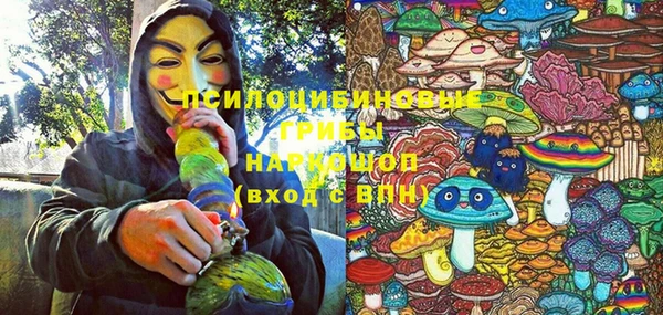 МДПВ Армянск
