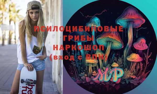 гидра Переславль-Залесский