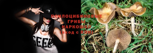 МДПВ Армянск