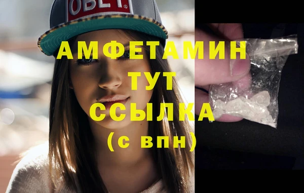 стаф Пересвет